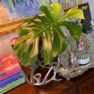 Meet your Posher, Sally